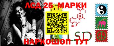 СК Волгодонск
