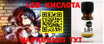 СК Волгодонск