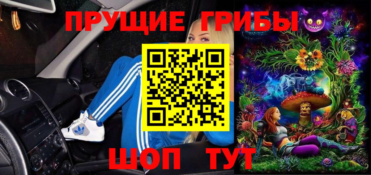 Кинешма  Псилоцибиновые грибы Psilocybine cubensis  Вход с VPN 