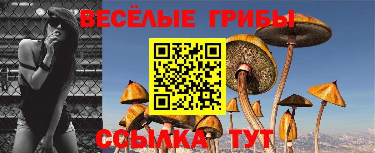 Галлюциногенные грибы мицелий Кинешма
